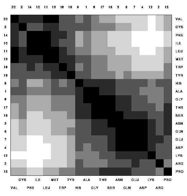 distance matrix
